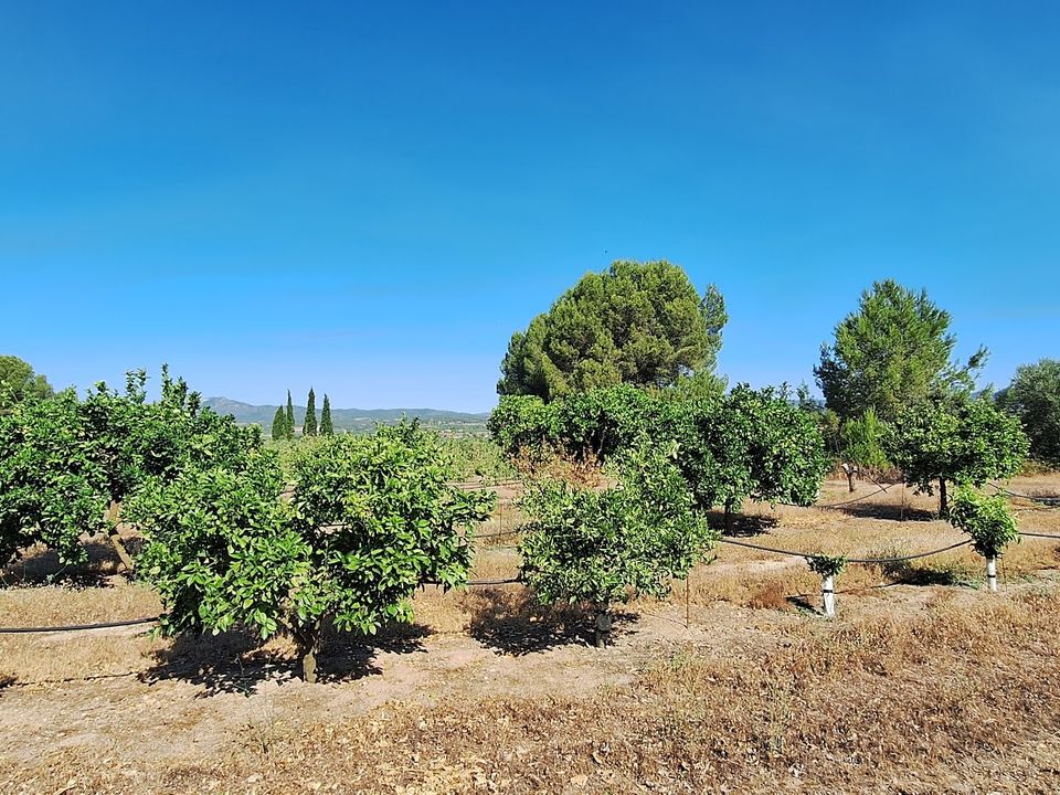 Finca in Ginestar, Tarragona - Foto 4
